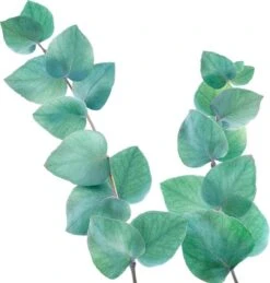 Kneipp Refreshing - Badolie -Lichaamsverzorging Winkel 1145x1200 3