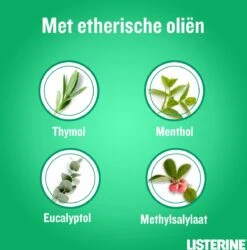 LISTERINE Clean & Fresh, Mondwater Met Essentiële Oliën En Fluoride, Zonder Alcohol, Bereikt De Plaatsen Die De Tandenborstel Mist – Zelfs Tussen De Beugel, 3 X 500 Ml -Lichaamsverzorging Winkel 1186x1200 5