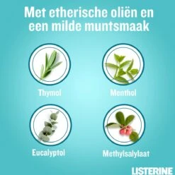 LISTERINE Cool Mint Milde Smaak, Mondspoeling Zonder Alcohol Met Etherische Oliën, Helpt Bacteriën Te Verwijderen En Zorgt Voor Een Langdurig Frisse Adem, 3 X 500 Ml -Lichaamsverzorging Winkel 1194x1200 5