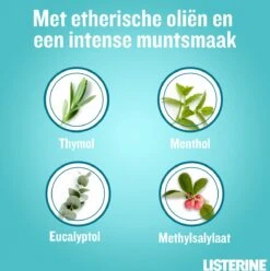 LISTERINE® Fresh Mint, Mondspoeling Met Essentiële Oliën Voor Een Langdurig Frisse Adem, 3x600ml -Lichaamsverzorging Winkel 1196x1200 9