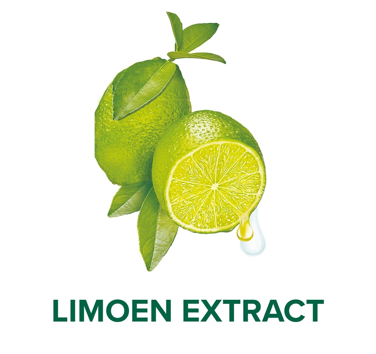 Palmolive® Palmolive Hygiene Plus Kitchen Antibacteriële Handzeep 6 X 300ml 9 Palmolive® Palmolive Hygiene Plus Kitchen Antibacteriële Handzeep 6 X 300ml - Afbeelding 7