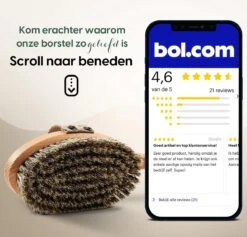 100% Natuurlijke Lichaamsborstel Met Lange Afneembare Steel - Rugborstel Badborstel Doucheborstel - Dry Brushing Huidborstel - Droogborstel - Douche -Lichaamsverzorging Winkel 1200x1152 5