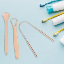 Nutty Green 3-Delige Tongschraper Set Inclusief Opbergcase - Tongreiniging Mondverzorging - Tongreiniger Mondhygiëne - RVS Schraper Voor Schone Tong Reiniging - Tongborstel Tegen Slechte Adem - Zero Waste Lifestyle -Lichaamsverzorging Winkel 1200x1200 1333