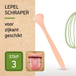 Nutty Green 3-Delige Tongschraper Set Inclusief Opbergcase - Tongreiniging Mondverzorging - Tongreiniger Mondhygiëne - RVS Schraper Voor Schone Tong Reiniging - Tongborstel Tegen Slechte Adem - Zero Waste Lifestyle -Lichaamsverzorging Winkel 1200x1200 1336