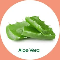 Dettol - Handzeep - Verzachtend – Aloe Vera - 250ml X12 -Lichaamsverzorging Winkel 1200x1200 227