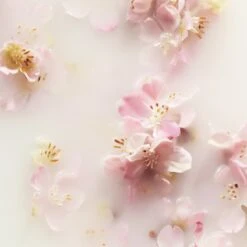 RITUALS The Ritual Of Sakura Recovery Hand Balm - 70 Ml -Lichaamsverzorging Winkel 1200x1200 234