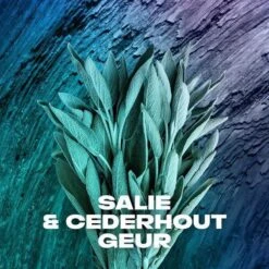 Axe Apollo Anti-transpirant Spray - 6 X 150 Ml - Voordeelverpakking -Lichaamsverzorging Winkel 1200x1200 350