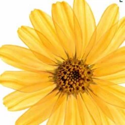 Kneipp Arnica Active - Badkristallen -Lichaamsverzorging Winkel 1200x1200 367