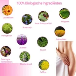 Vaginale Stoombad- Inclusief Natuurlijke Kruiden - (BPA Vrij) Vaginale Gezondheid - Helpt Tegen Geur En Schimmelinfecties - Vagina Verzorging / Reiniging -Lichaamsverzorging Winkel 1200x1200 397