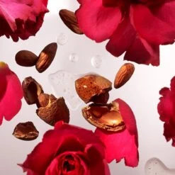 RITUALS The Ritual Of Ayurveda Body Cream & Refill Duo - 440 Ml -Lichaamsverzorging Winkel 1200x1200 447