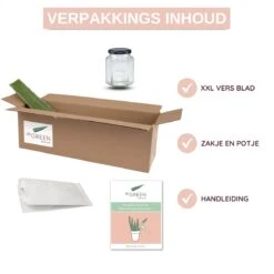 Dr. Green® 1x- Aloë Vera Blad - MAAK GEL IN 3 MINUTEN - 100% Puur - Biologisch -Lichaamsverzorging Winkel 1200x1200 503