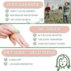 Dr. Green® 1x- Aloë Vera Blad - MAAK GEL IN 3 MINUTEN - 100% Puur - Biologisch -Lichaamsverzorging Winkel 1200x1200 507