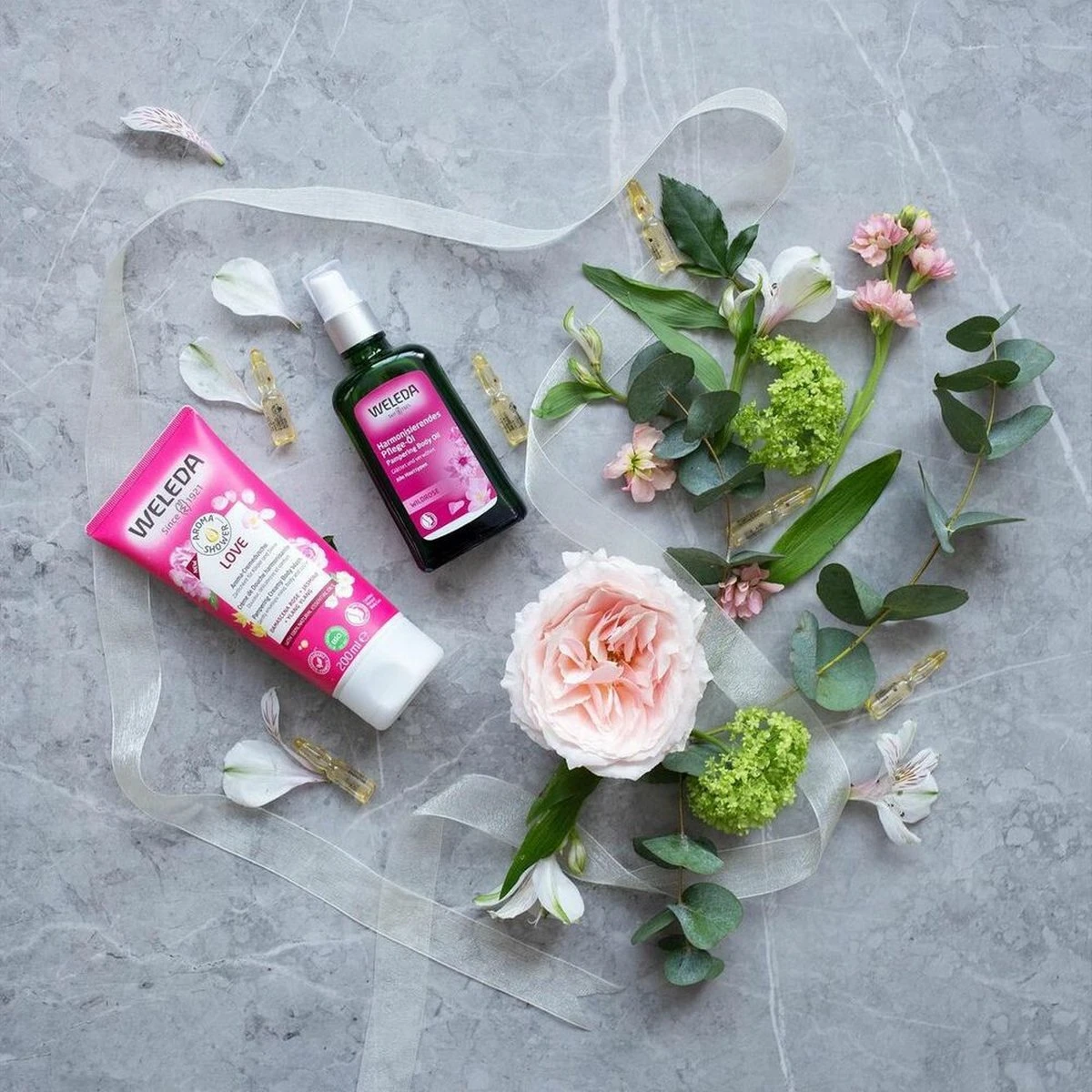 Weleda Wilde Rozen Harmoniserende Body Olie 7 Weleda Wilde Rozen Harmoniserende Body Olie - Afbeelding 5