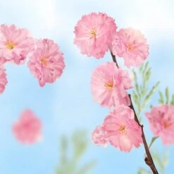 Kneipp Favourite Time - Handcrème -Lichaamsverzorging Winkel 1200x1200 62