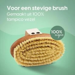 100% Vegan Lichaamsborstel - 0% Plastic - Dry Brushing Badborstel/Droogborstel/Doucheborstel/Huidborstel - Beukenhout -Lichaamsverzorging Winkel 1200x1200 659
