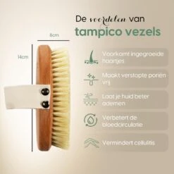 100% Vegan Lichaamsborstel - 0% Plastic - Dry Brushing Badborstel/Droogborstel/Doucheborstel/Huidborstel - Beukenhout -Lichaamsverzorging Winkel 1200x1200 660