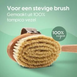100% Vegan Lichaamsborstel Met Lange Afneembare Steel - Rugborstel/Badborstel/Doucheborstel - Dry Brushing Huidborstel - Droogborstel - Douche 16 100% Vegan Lichaamsborstel Met Lange Afneembare Steel - Rugborstel/Badborstel/Doucheborstel - Dry Brushing Huidborstel - Droogborstel - Douche -Lichaamsverzorging Winkel 1200x1200 670