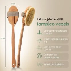 100% Vegan Lichaamsborstel Met Lange Afneembare Steel - Rugborstel/Badborstel/Doucheborstel - Dry Brushing Huidborstel - Droogborstel - Douche 17 100% Vegan Lichaamsborstel Met Lange Afneembare Steel - Rugborstel/Badborstel/Doucheborstel - Dry Brushing Huidborstel - Droogborstel - Douche -Lichaamsverzorging Winkel 1200x1200 671