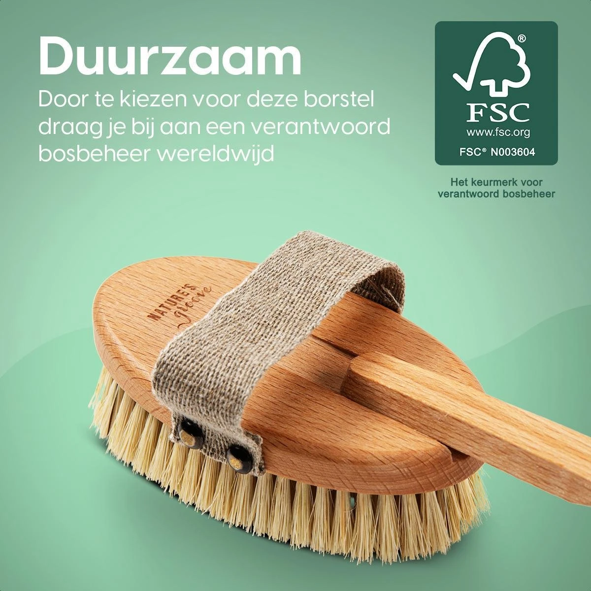 100% Vegan Lichaamsborstel Met Lange Afneembare Steel - Rugborstel/Badborstel/Doucheborstel - Dry Brushing Huidborstel - Droogborstel - Douche 9 100% Vegan Lichaamsborstel Met Lange Afneembare Steel - Rugborstel/Badborstel/Doucheborstel - Dry Brushing Huidborstel - Droogborstel - Douche - Afbeelding 7