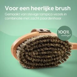 100% Natuurlijke Lichaamsborstel Met Lange Afneembare Steel - Rugborstel Badborstel Doucheborstel - Dry Brushing Huidborstel - Droogborstel - Douche -Lichaamsverzorging Winkel 1200x1200 680