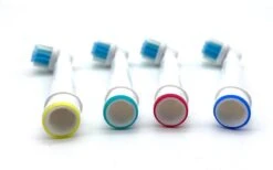 Merkloos Opzetborstels - Universele Geschikt Voor Braun / Oral-B - Set Van 24 Stuks -Lichaamsverzorging Winkel 1200x747 1