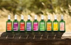 Weleda Lavendel Ontspannende Body Olie -Lichaamsverzorging Winkel 1200x758 1