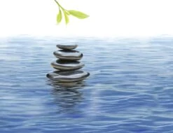 Kneipp Me-Time - Douchegel -Lichaamsverzorging Winkel 1200x921 1