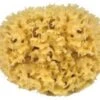 Natuur Spons Voor Het Lichaam - 10 Cm -Lichaamsverzorging Winkel 1200x977